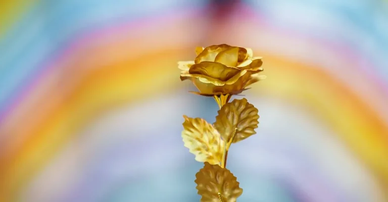 Spiritual Meaning Of Roses: A Comprehensive Guide