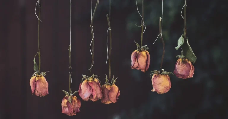 Hanging Roses Upside Down Spiritual Meaning