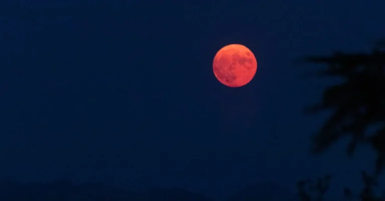 What Does An Orange Moon Mean? A Complete Guide