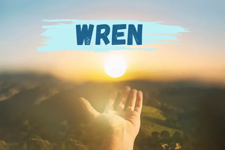 The Biblical Meaning And Significance Of The Name Wren