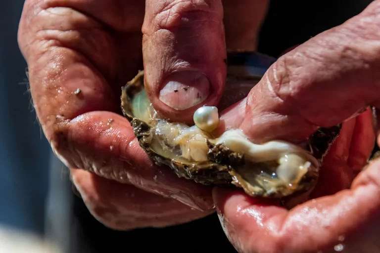 Finding A Pearl In An Oyster: Spiritual Meaning And Symbolism