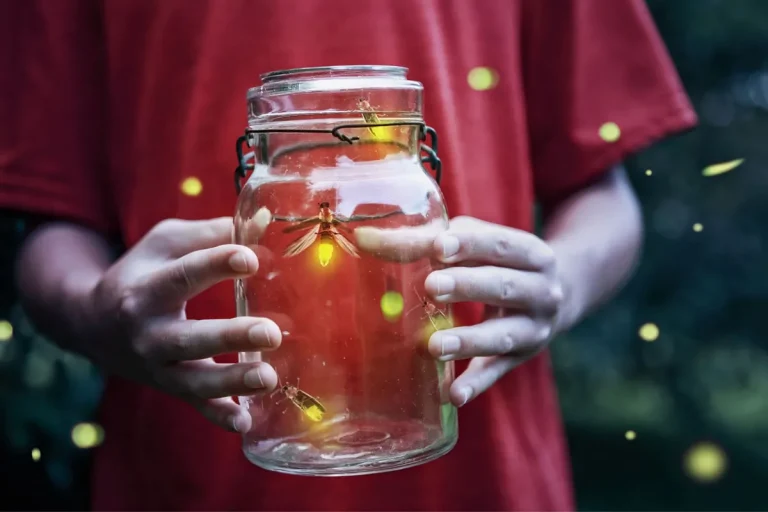 The Spiritual Meaning And Symbolism Of Fireflies