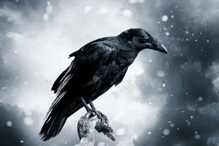 The Meaning Of Ravens In The Bible