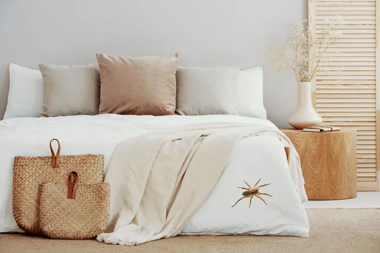 Spider In My Bed: Spiritual Meaning And Interpretation