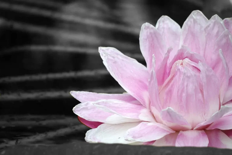 The Spiritual Meaning Of The Color Pink