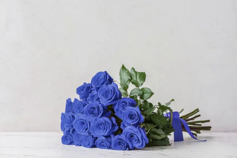 The Spiritual Meaning Of A Blue Rose