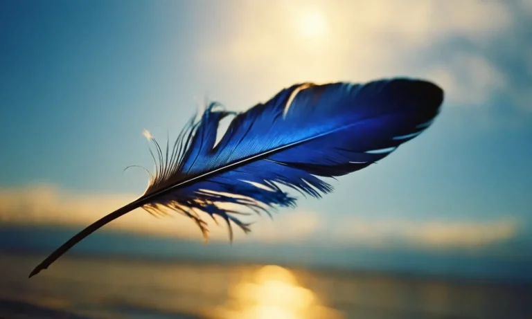 The Spiritual Meaning Of Finding Blue Feathers