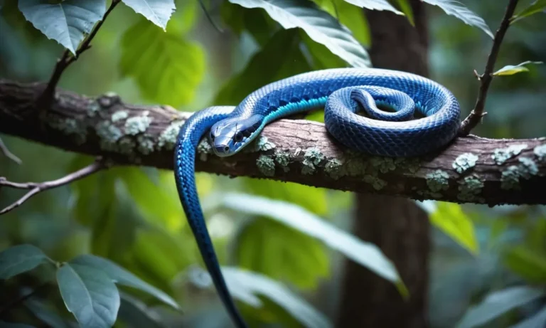 The Spiritual Meaning And Symbolism Of Blue Snakes