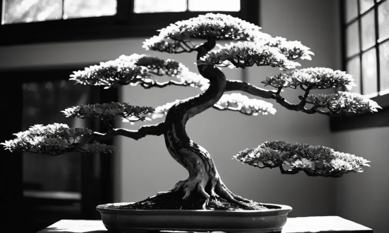The Spiritual Meaning And Symbolism Of Bonsai Trees