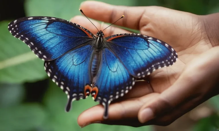 Butterflies In Your Stomach: The Deep Spiritual Meaning Behind This Common Feeling