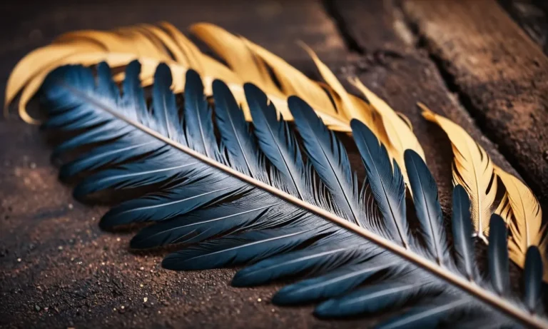 The Spiritual Meaning And Symbolism Of Eagle Feathers