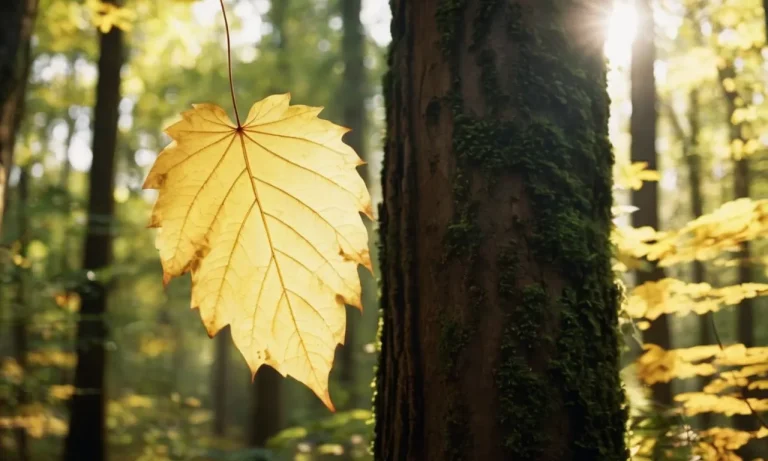The Spiritual Meaning Of Falling Leaves