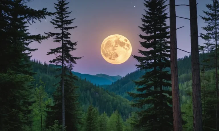 The Spiritual Meaning And Significance Of The Full Buck Moon