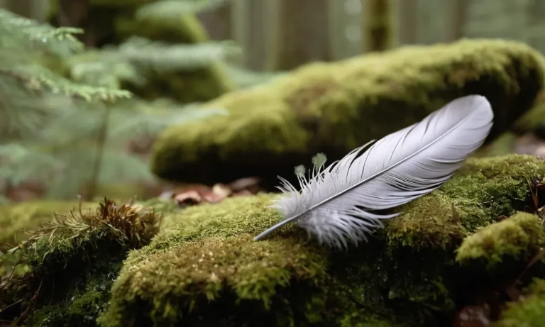 The Spiritual Meaning Of Gray Feathers: A Complete Guide
