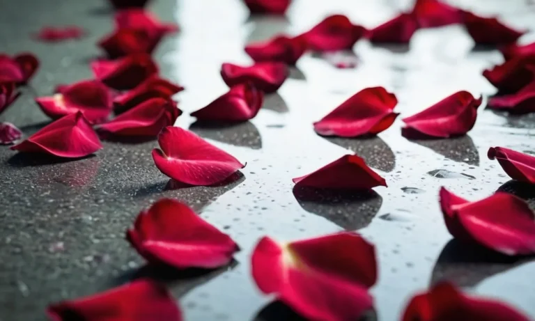 The Spiritual Meaning And Symbolism Of Red Rose Petals