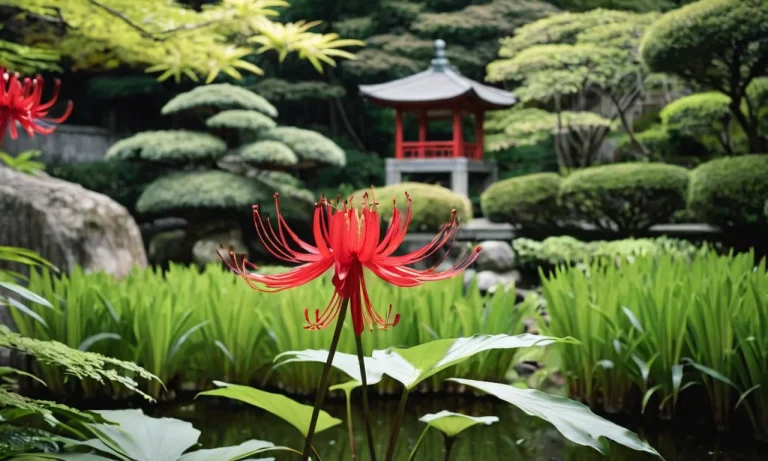 Uncovering The Mystical Meaning Of The Red Spider Lily