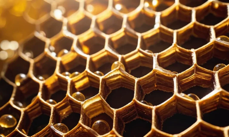 The Spiritual Meaning And Symbolism Of Honeycomb