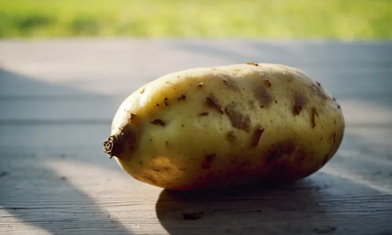 The Spiritual Meaning Of Potatoes: A Root Vegetable Rich In Symbolism