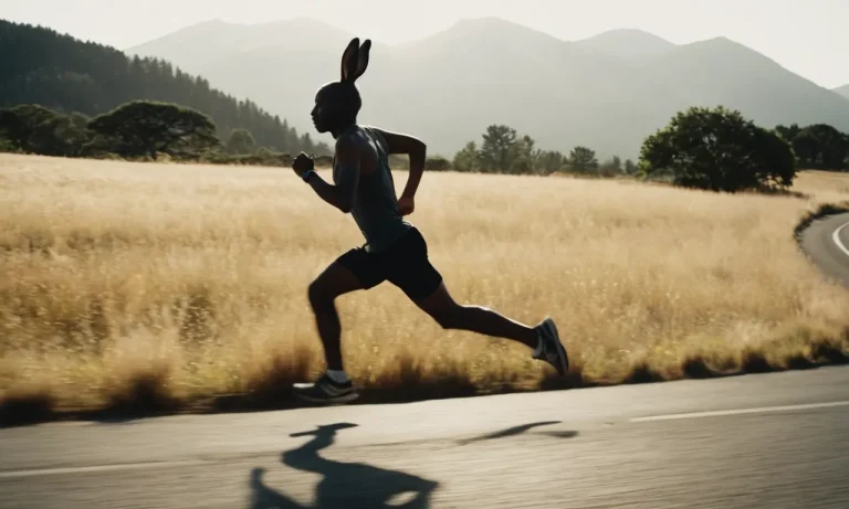 The Spiritual Meaning Of Running Over A Rabbit
