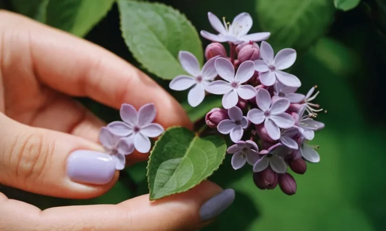 The Deeper Meaning Behind Smelling Lilacs