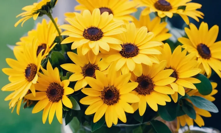 The Spiritual Meaning Of Yellow Flowers