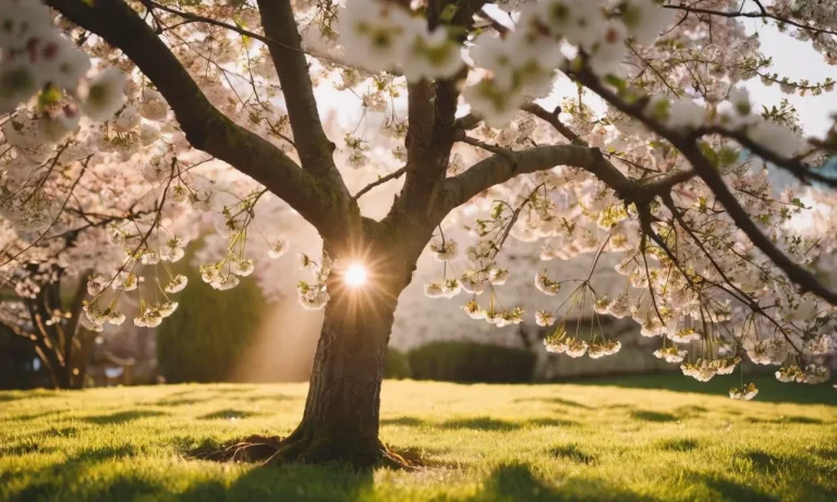 The Profound Spiritual Meaning Of The Spring Equinox