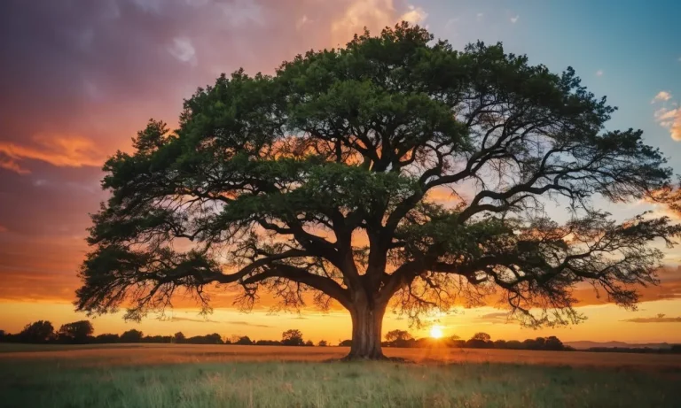 The Spiritual Meaning And Symbolism Of The Tree Of Life