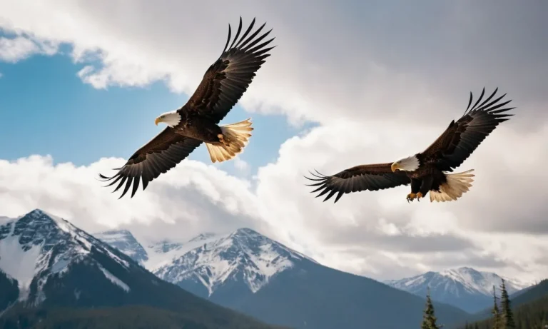 The Spiritual Meaning And Symbolism Of Two Eagles Flying Together