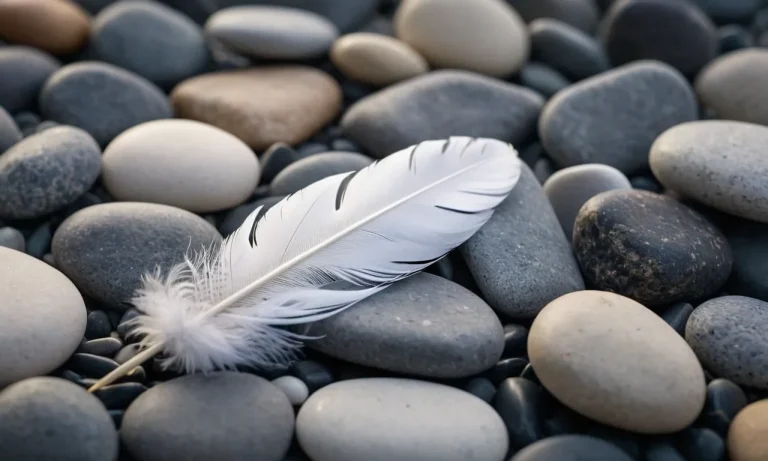 The Spiritual Meaning And Symbolism Of White And Grey Feathers